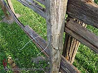Comment attacher des perches aux poteaux d'une clôture en perches de cèdre