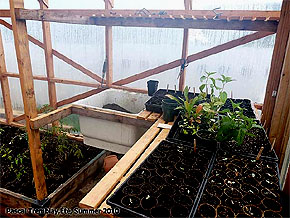 Table de rempotage - Idée de banc de plantation - Serre de Jardin