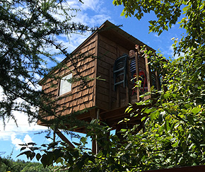 Construire cabane dans les arbres