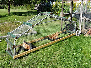 Poulailler mobile - Construire un tracteur à poules - Plan de poulailler mobile