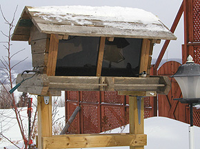 Mangeoire oiseaux plan