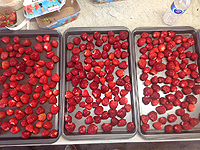 Autonomie en fraises