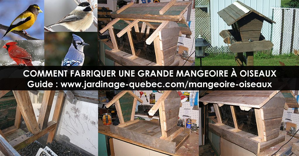 DIY jardin : fabriquer une mangeoire en bois pour les oiseaux - Marie Claire